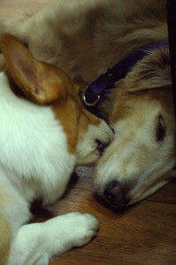 1380943969-1206195238