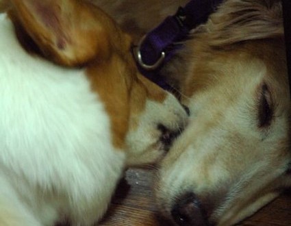 1380943969-1206195238