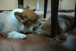 1380943970-1297999179