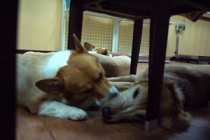 1380943970-2139510069