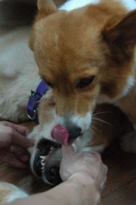 1380943971-3337802390