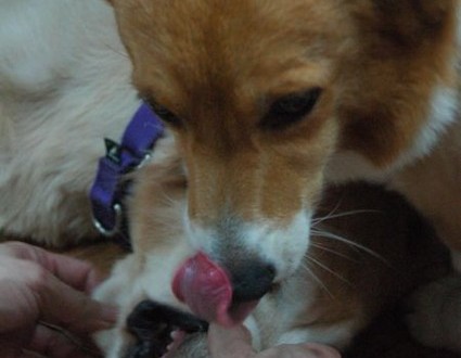 1380943971-3337802390