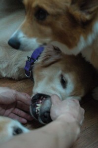 1380943971-3558497654