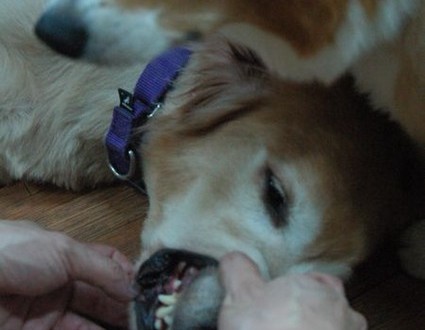 1380943971-3558497654