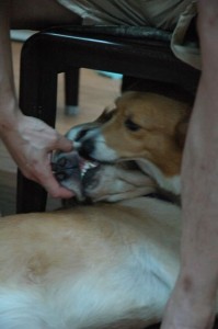 1380943972-3411096711