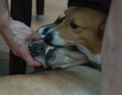 1380943972-3411096711