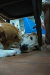 1380943972-527939933