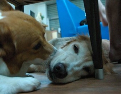 1380943972-527939933