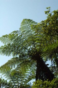 1380943976-3491879768