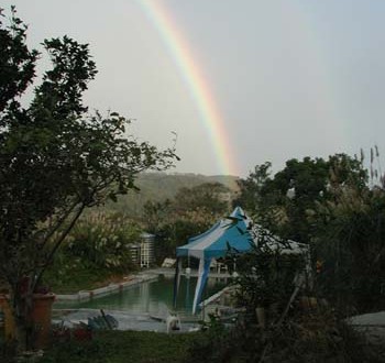 1380943990-3899312450