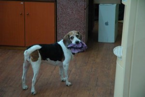 1380943997-1982091073