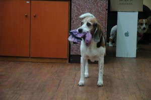 1380943997-864981715