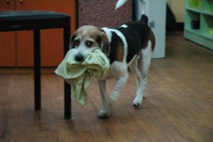 1380943998-1863059195