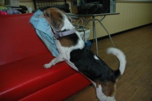 1380943999-1999925593