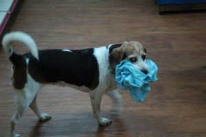 1380943999-540833773