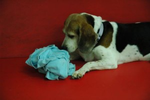 1380944000-1244174043