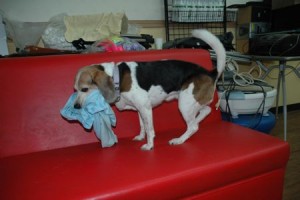 1380944000-415330820