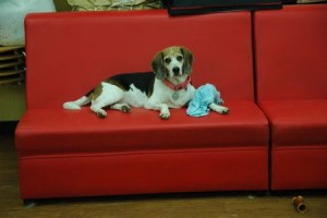 1380944000-962621018