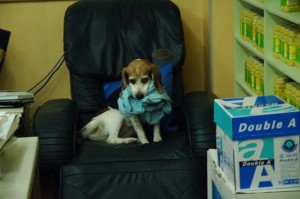 1380944001-307903967