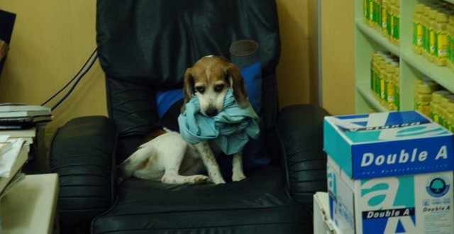 1380944001-307903967