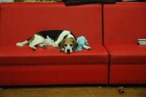 1380944001-596268654