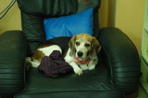 1380944002-105302233