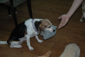 1380944002-1646721638