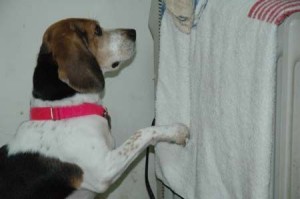 1380944003-2855354819