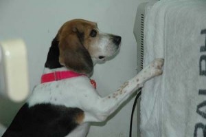 1380944003-3944726149