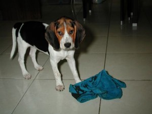 1380944004-4211676518