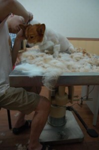 1380944011-2970623359