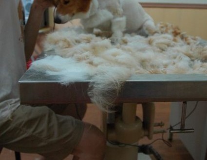 1380944011-2970623359