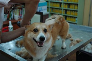 1380944012-2261430053