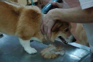 1380944012-395246692