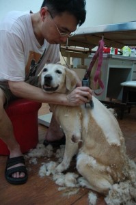 1380944013-1074600658