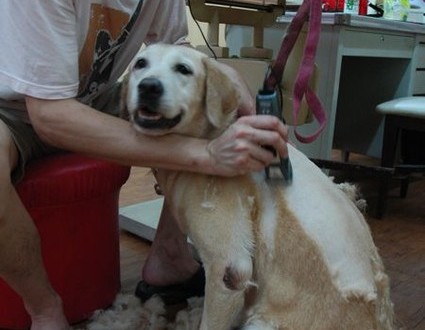 1380944013-1074600658