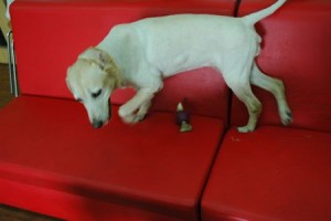 1380944013-1310804075