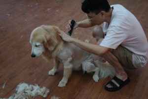 1380944013-3343124499