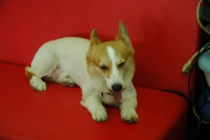 1380944014-1951921056