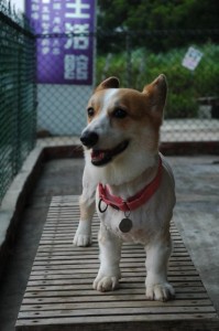 1380944014-3102557553