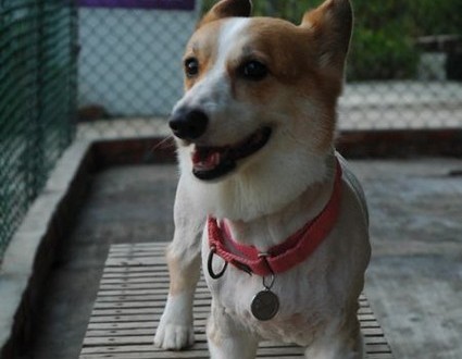 1380944014-3102557553