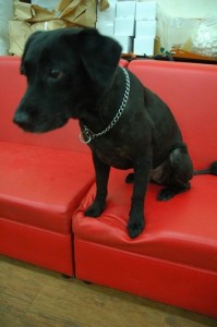 1380944015-1637066298