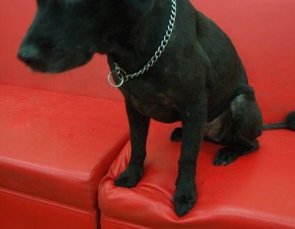 1380944015-1637066298