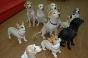 1380944016-2610071598