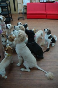 1380944016-3306097170