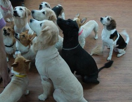 1380944016-3306097170