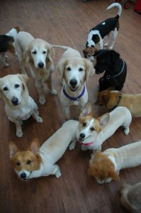 1380944016-3788905981