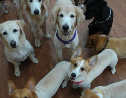 1380944016-3788905981