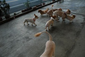 1380944020-2171877448