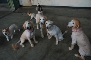 1380944021-2252034403